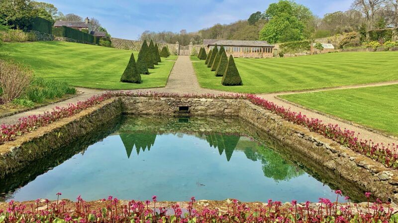 Pool Yew Walk at Plas Cadnant Spring by Patrick Davies