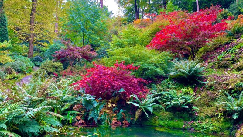 Reflecting Pool and Lower Valley Plas Cadnant Autumn credit Patrick Davies