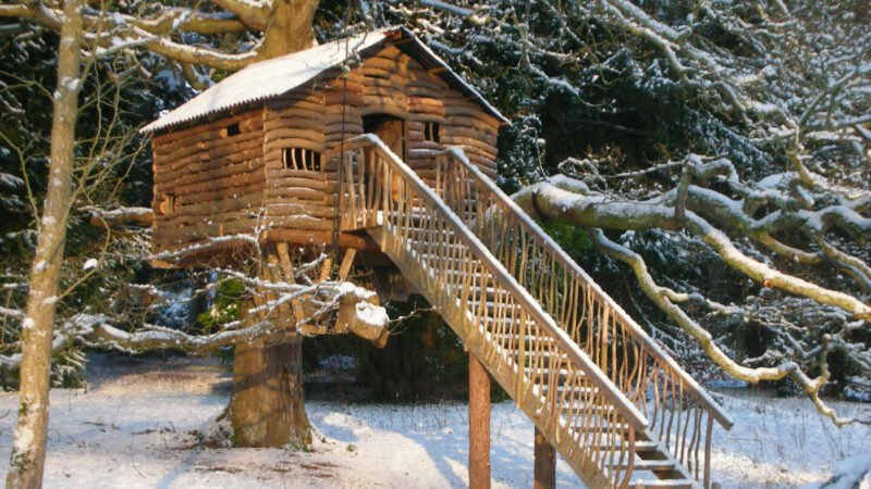 Plas Newydd Winter Treehouse Web