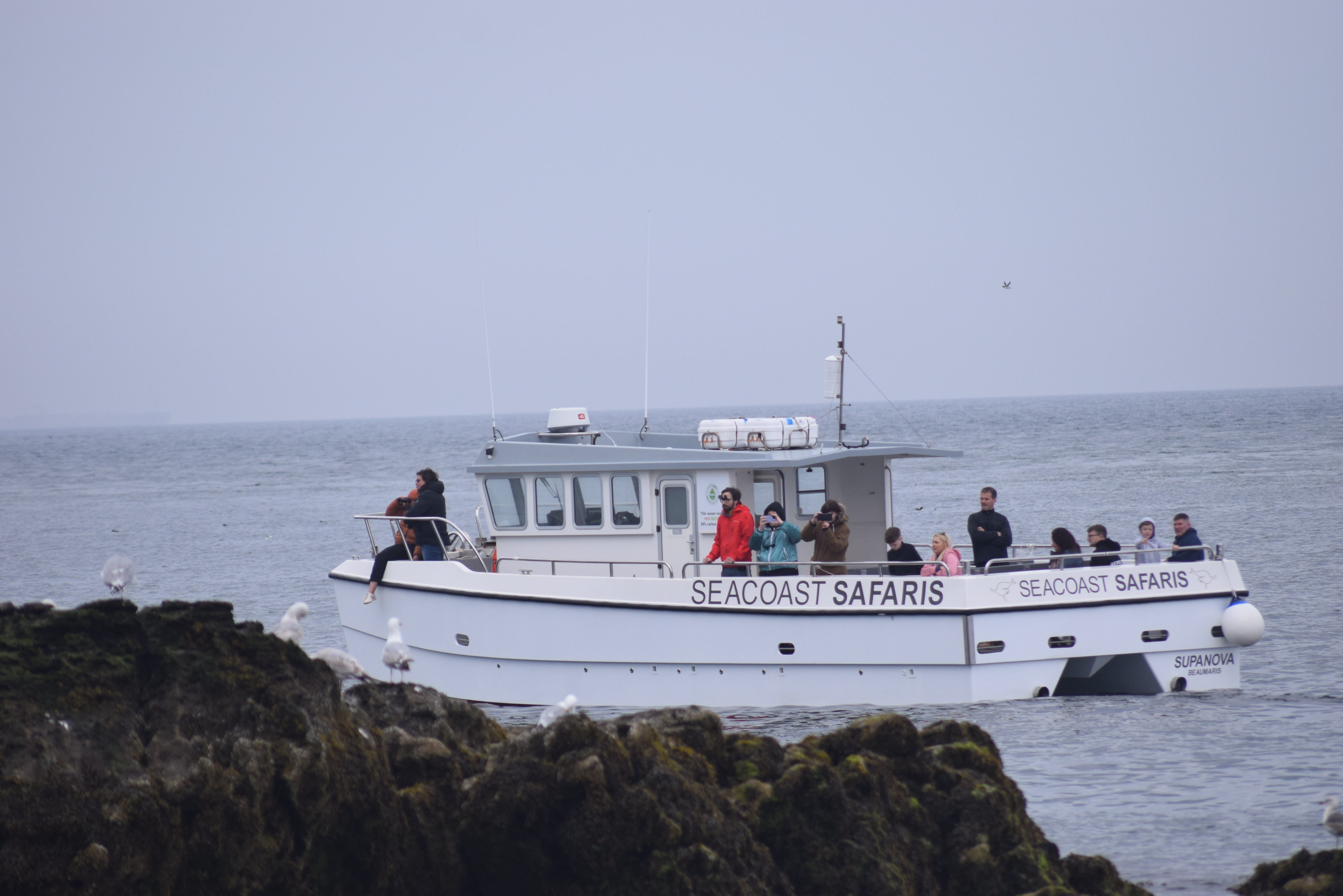 Best of Puffin Island & Menai Strait Cruise