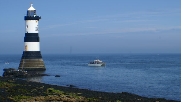Puffin Island Cruises, Menai Strait Cruises & Best of Both