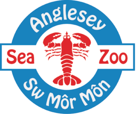 Anglesey Sea Zoo