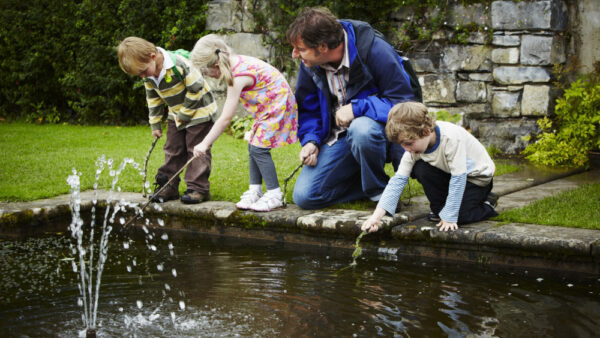 Summer of fun at Plas Newydd